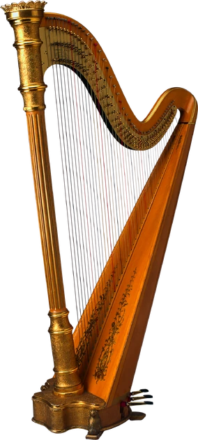 <ul><li><p>Instruments that contain the strings within a frame</p></li><li><p>ex. harp</p></li></ul><p></p>