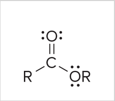 <p>Single R can be hydrogen or carbon, R attached to oxygen has to be carbon</p>