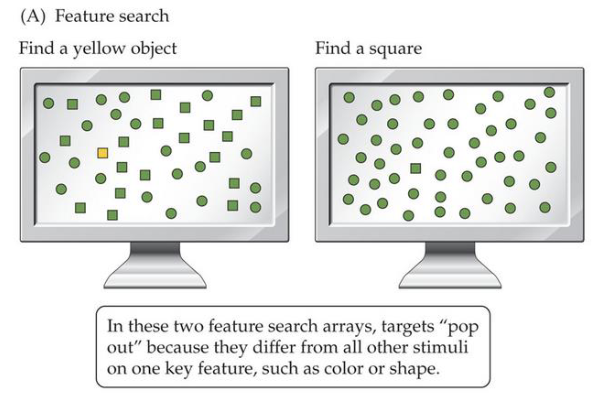 <p>Search for a target based on a unique attribute</p>