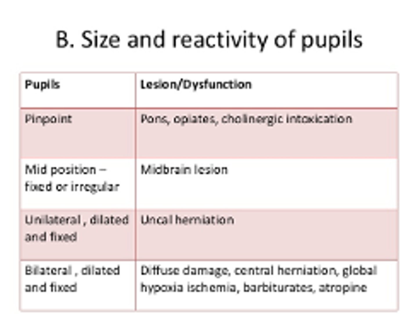 <p>-Funduscopic</p><p>-Pupils</p><p>-Oculocephalic reflex (doll's eyes)</p><p>-Oculovestibular reflex (cold calorics)</p><p>-Corneal reflex</p>