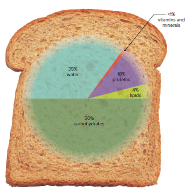 Nutrient composition of a slice of bread.
