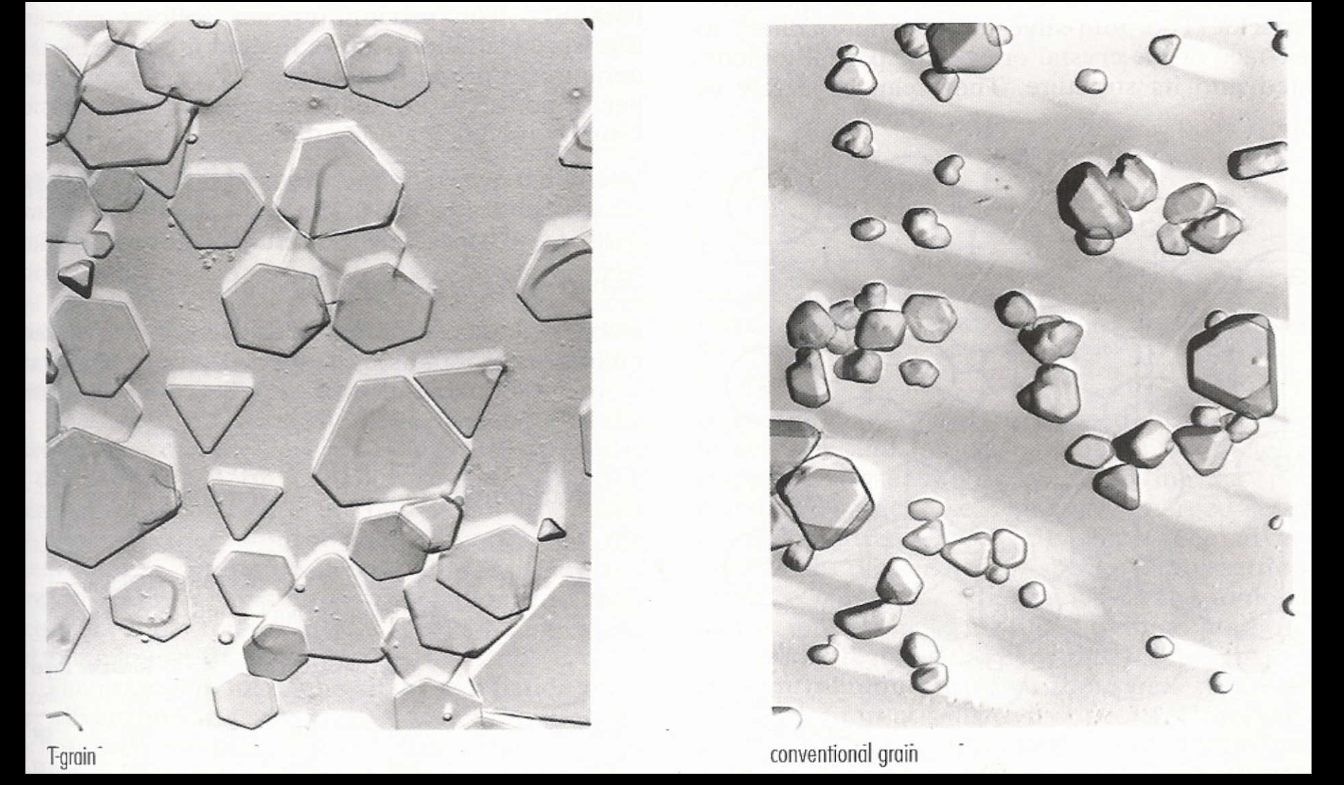 <p><span>Gurney-Mott Theory of Latent Image Formation</span></p>