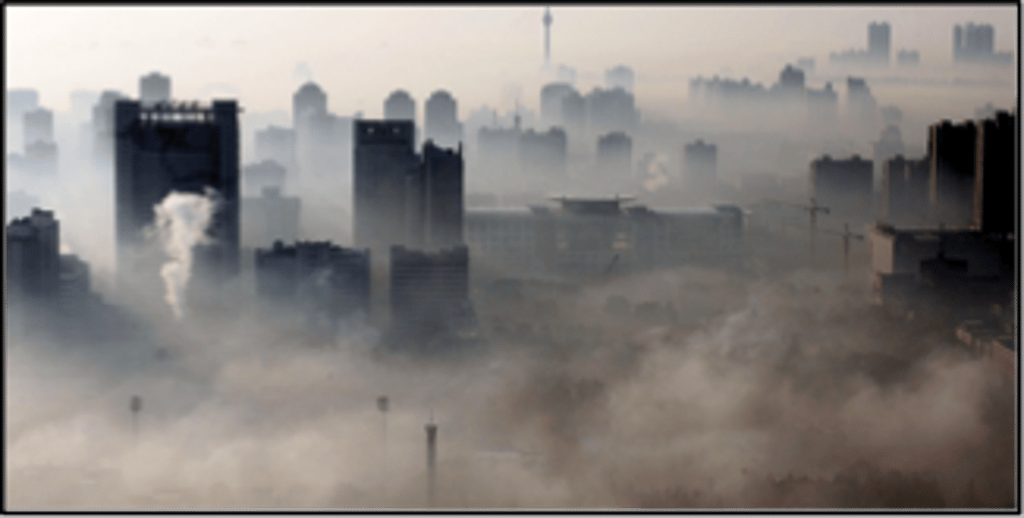 <p>- 7 million people die from air pollution a year<br><br>- 4.2 million die from outdoor air pollution<br><br>- 71% of these 7 million live developing countries<br><br>- 91% of the world's population live in areas where the air quality exceeds WHO guidelines<br><br>- The most harmful pollutant to human health is PM 2.5 found in soot, smoke, and dust =&gt; lodges in the lungs causing long term health problems (asthma, chronic lung disease)<br>... PM 2.5 starts to become a health problem when there is more than 35.5 um/g<br><br>Of the top 20 most polluted cities, 13 were in India<br><br>... New Delhi = 153 um/g of PM 2.5</p>