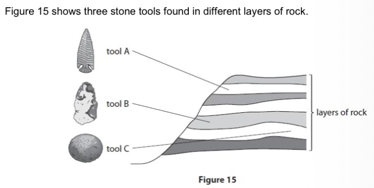 <p>Explain how the information in Figure 15 provides evidence for human evolution.</p>