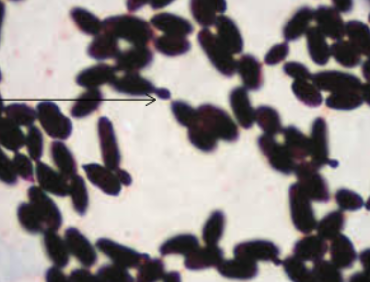 <p>What is this called?</p>