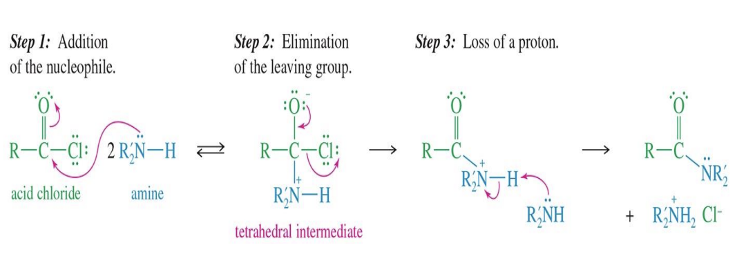 <p>Starting</p><ul><li><p>Acid chloride (R-C(=O)-Cl)</p></li></ul><p>Reagent</p><ul><li><p>Amine (R₂N-H) — can be ammonia, primary amine (1°), or secondary amine (2°)</p></li></ul><p>Mechanism </p><p><strong>Step 1: Addition of nucleophile</strong></p><ul><li><p>The amine's nitrogen attacks the carbonyl carbon</p></li><li><p>Forms tetrahedral intermediate</p></li></ul><p><strong>Step 2: </strong></p><ul><li><p>Chloride ion (Cl⁻) leaves</p></li><li><p>Restores the C=O double bond</p></li></ul><p><strong>Step 3: Loss of a proton</strong></p><ul><li><p>Another Amine removes a proton from the nitrogen</p></li><li><p>Forms the amide product</p></li></ul><p><strong>Product types:</strong></p><ul><li><p>Ammonia (NH₃) → <strong>primary amide (1°)</strong></p></li><li><p>Primary amine (RNH₂) → <strong>secondary amide (2°)</strong></p></li><li><p>Secondary amine (R₂NH) → <strong>tertiary amide (3°)</strong></p></li></ul><p></p>