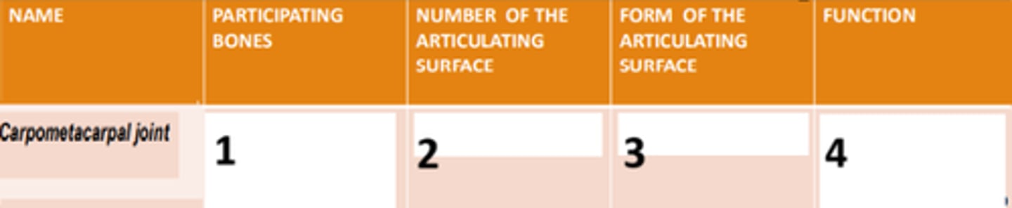 <p>4</p>