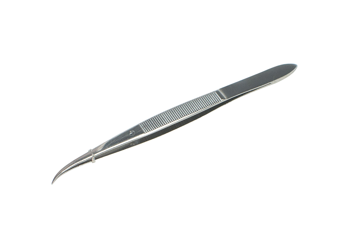 <p>Forceps</p>
