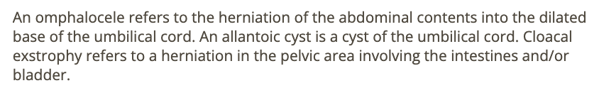 <p>c) gastroschisis</p>