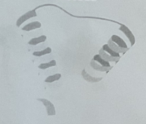 <p>structure=function</p>