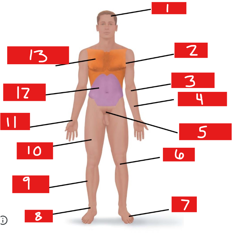 <p>10</p>
