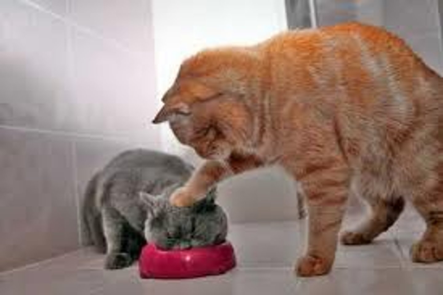 <p>To force someone to do something</p><p>(Bắt buộc ai đó làm gì)</p><p>= force/oblige sb to do sth</p><p>(ép buộc ai làm gì)</p><p>&gt;&lt; persuade sb to do sth</p><p>(thuyết phục ai làm gì)</p>