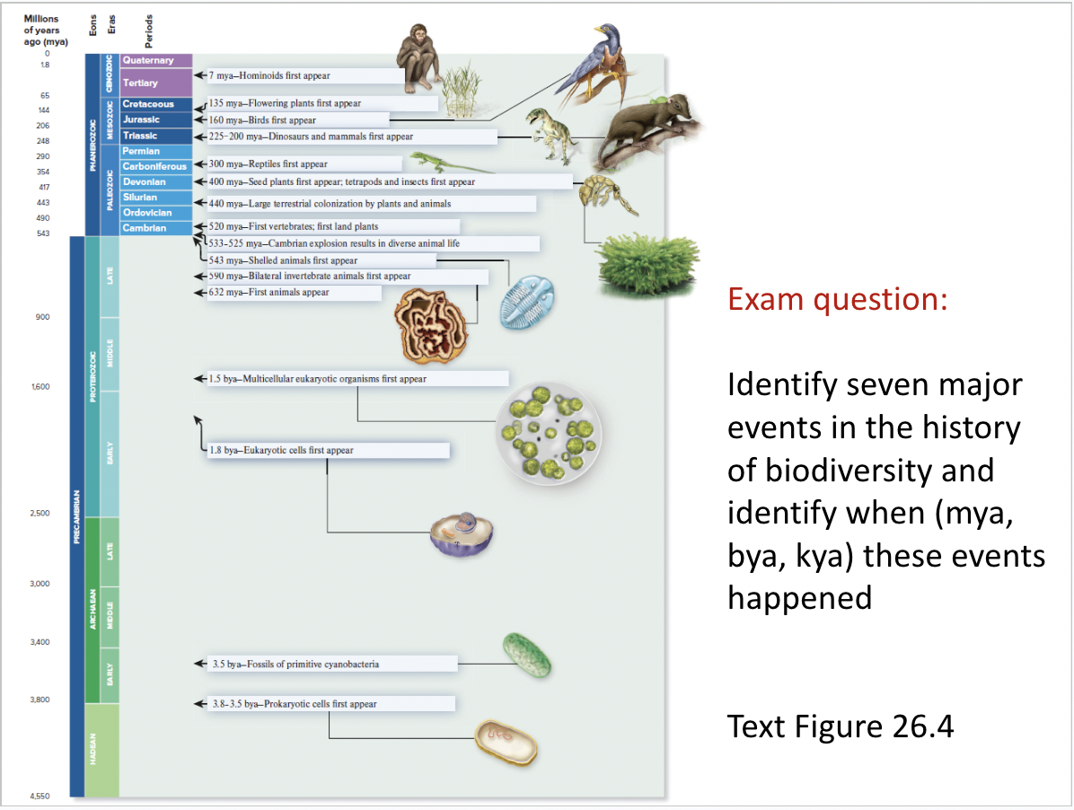<p><span style="background-color: transparent;"><span>Exam question:&nbsp;&nbsp;Identify seven major events in the history of biodiversity and identify when (mya, bya, kya) these events happened</span></span></p><p><span style="background-color: transparent;"><span>Text Figure 26.4</span></span></p>