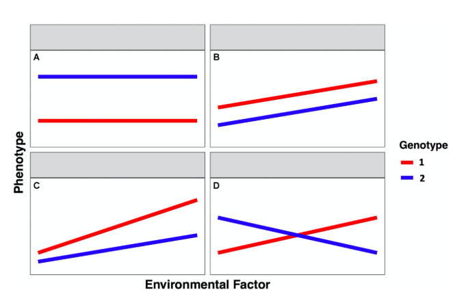 <p>Which graph(s) show both plasticity and GxE interactions </p>