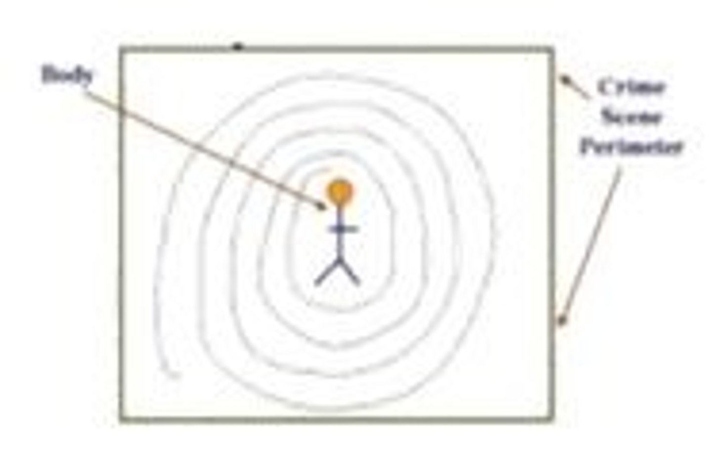 <p>Name this pattern used to search for evidence</p>