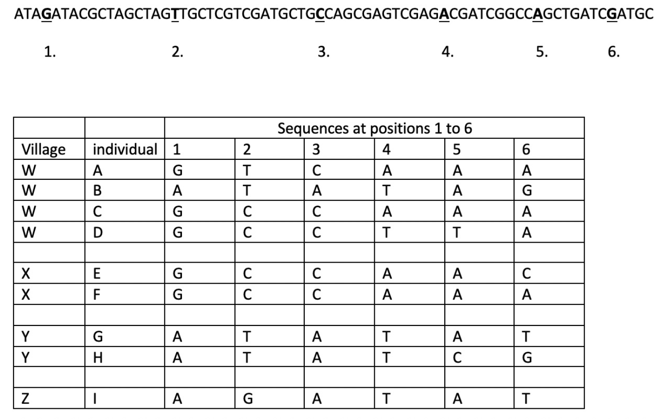<p>which individual in village W has the virus that’s <strong>most</strong> similar to the infections in village X? </p>