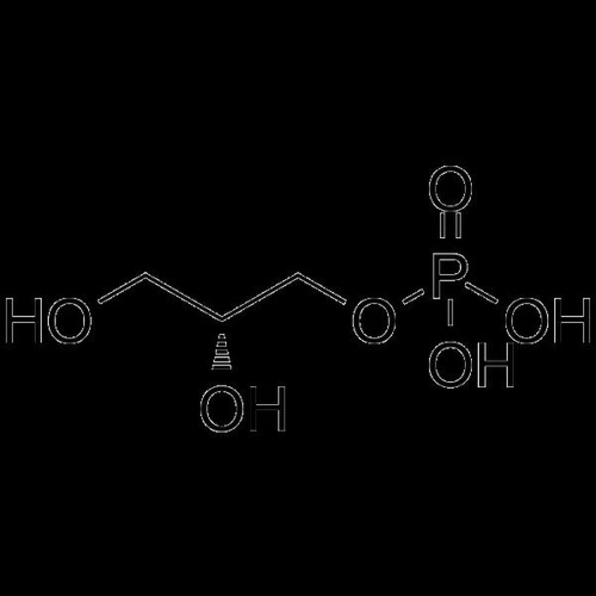 <p>The process of reattaching fatty acids to glycerol to form triglycerides, primarily occurring in the liver.</p>