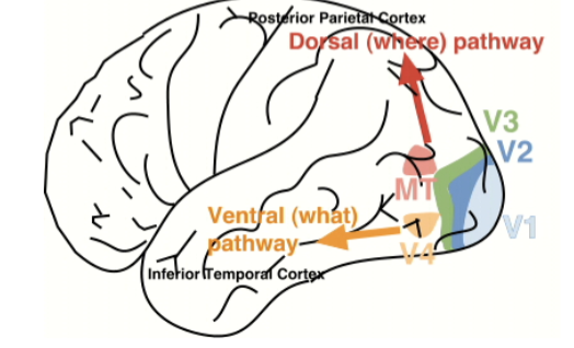 <p>Location information flows where?</p>