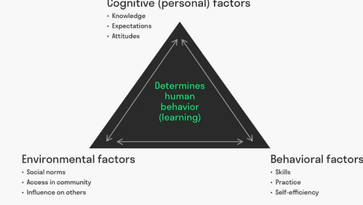 <p>Multidomain Theory: Cognitive, Behavioral, Social </p>