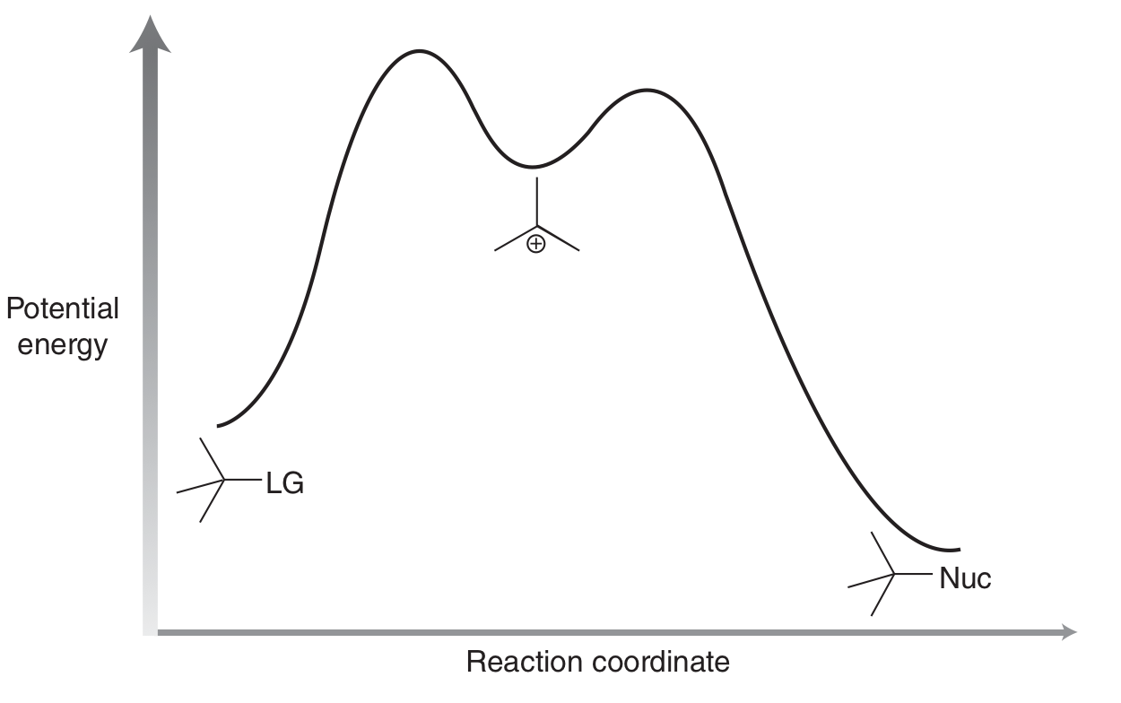 <p>Rate only dependent on the E<sup>+</sup></p>