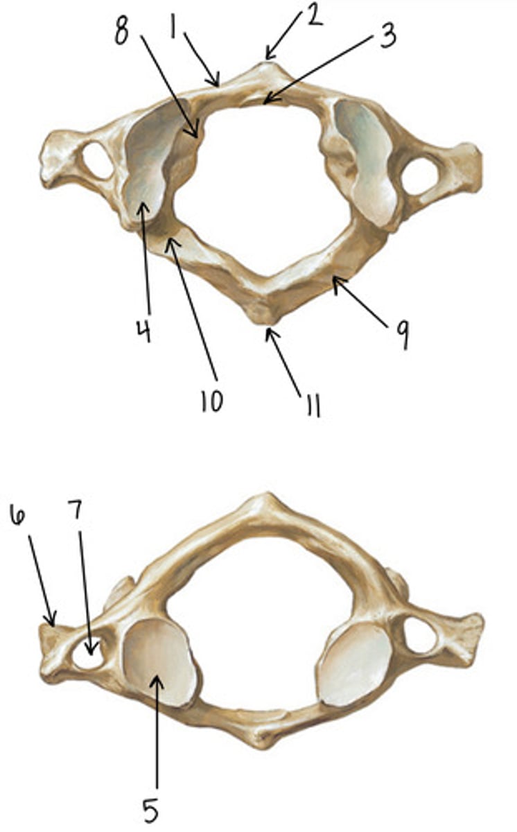 <p>3</p>