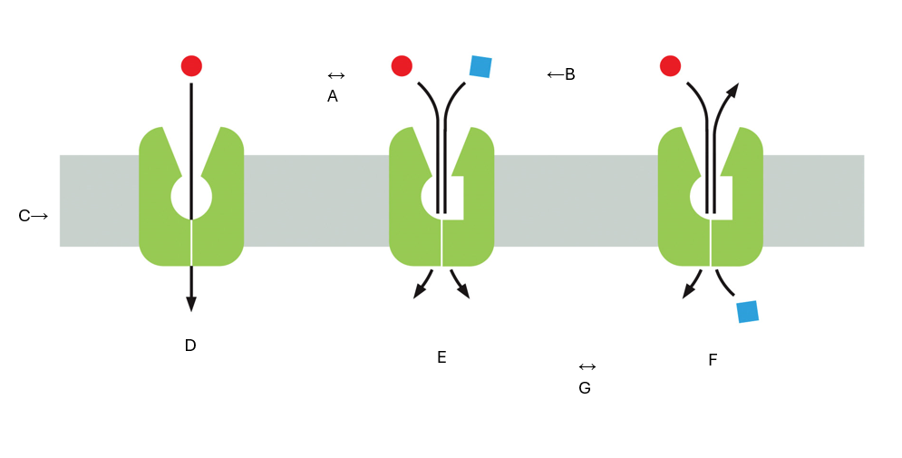 <p>What is A?</p>