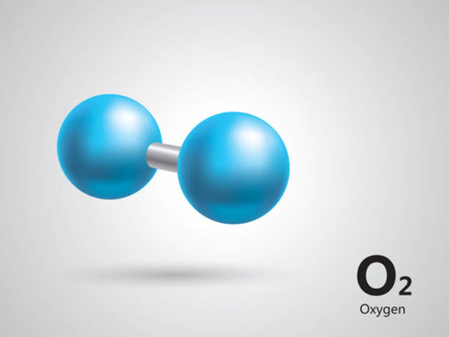 <p>An environment with abundant oxygen</p>