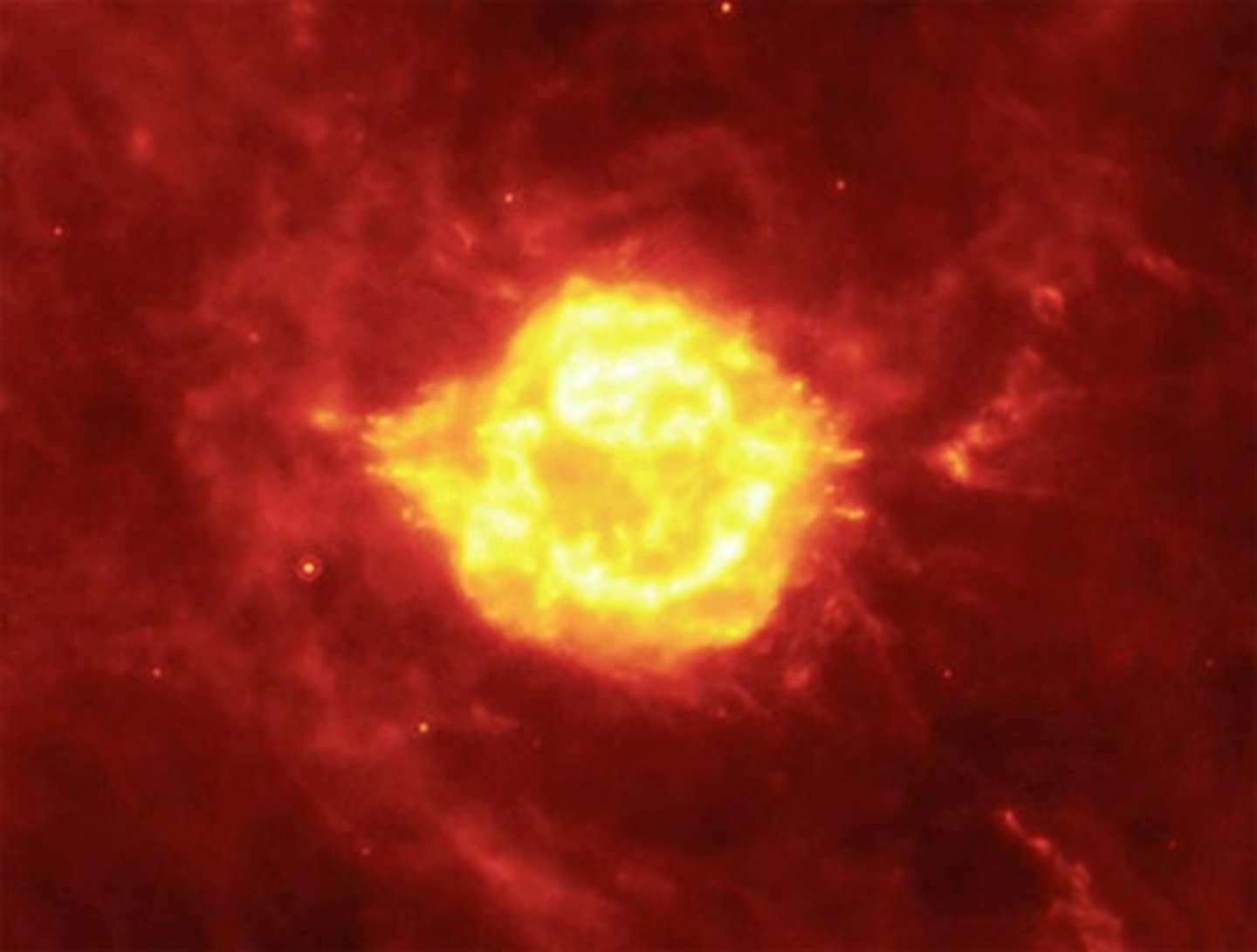<p>a celestial body of hot gases that radiates energy derived from nuclear reactions in the core</p>