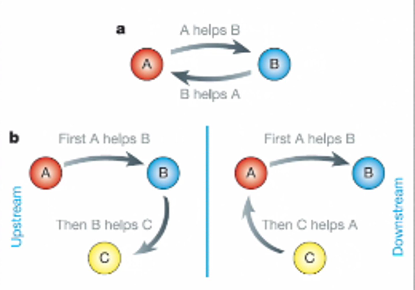 <p>Взаємність</p>