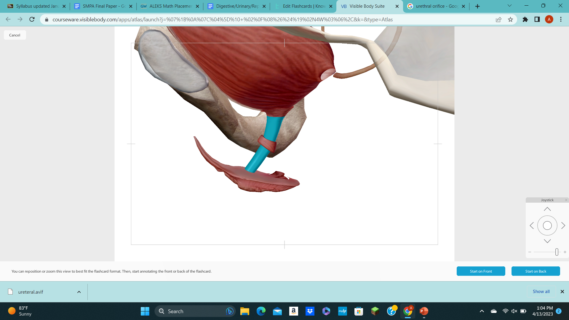 knowt flashcard image