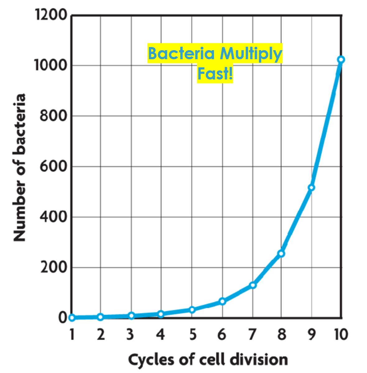 Exponential Growth of Bacteria