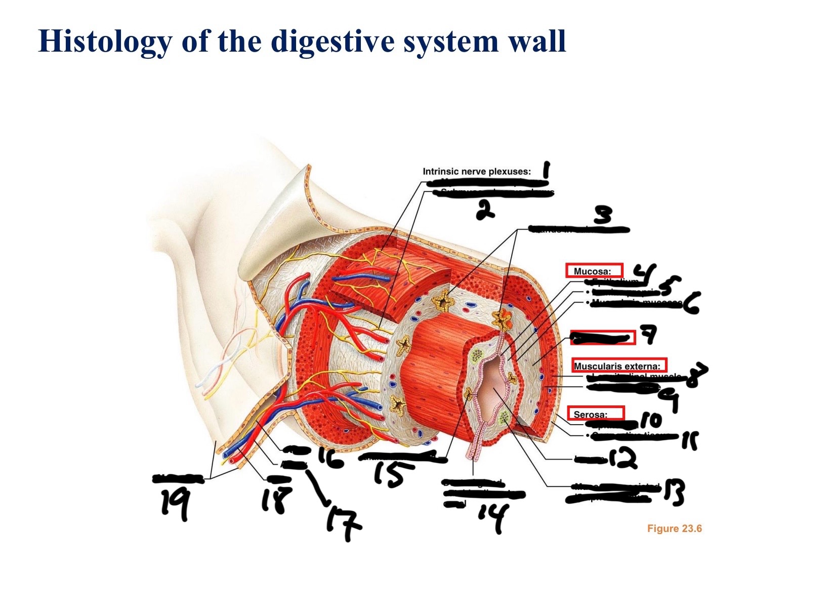 <p>14</p>