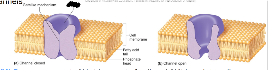 <p>Label the diagram</p>