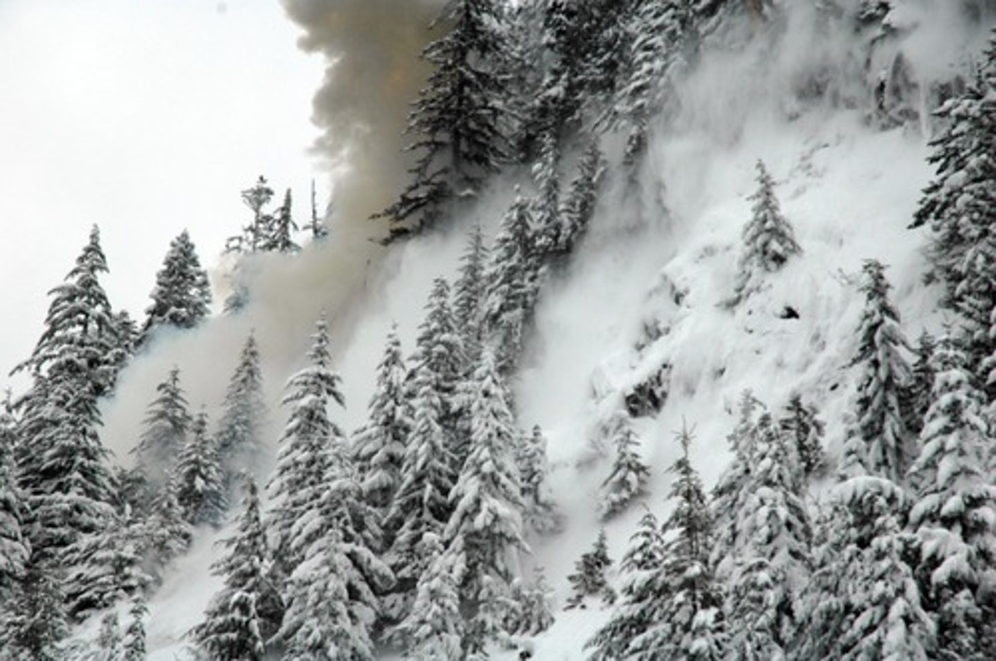 <p>great mass of falling snow and ice</p>