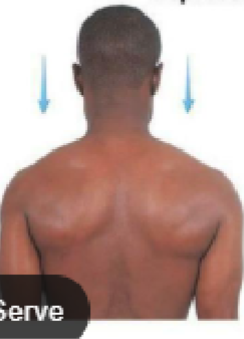 <p>Move a structure inferiorly</p>