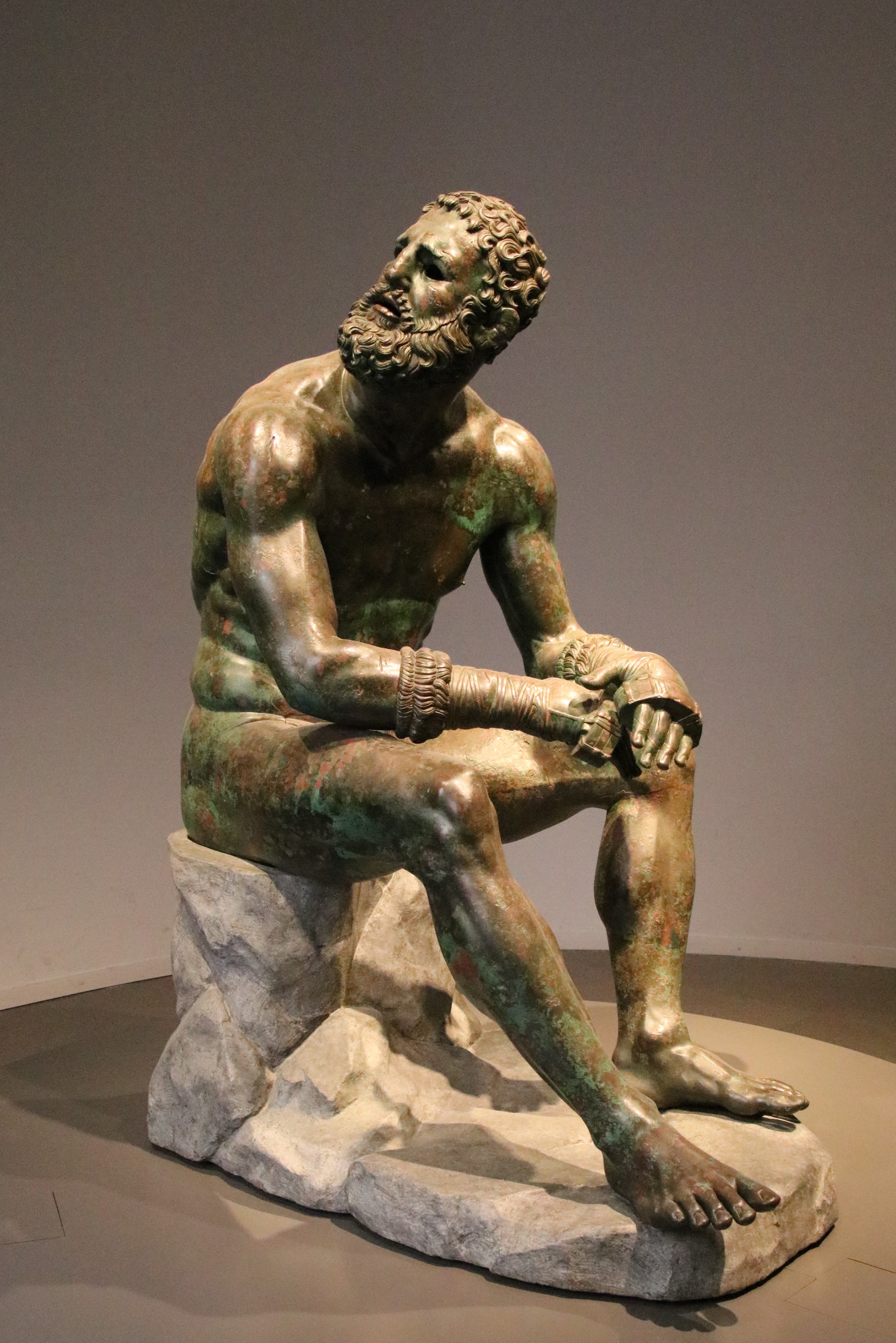 <p>Seated Boxer</p>