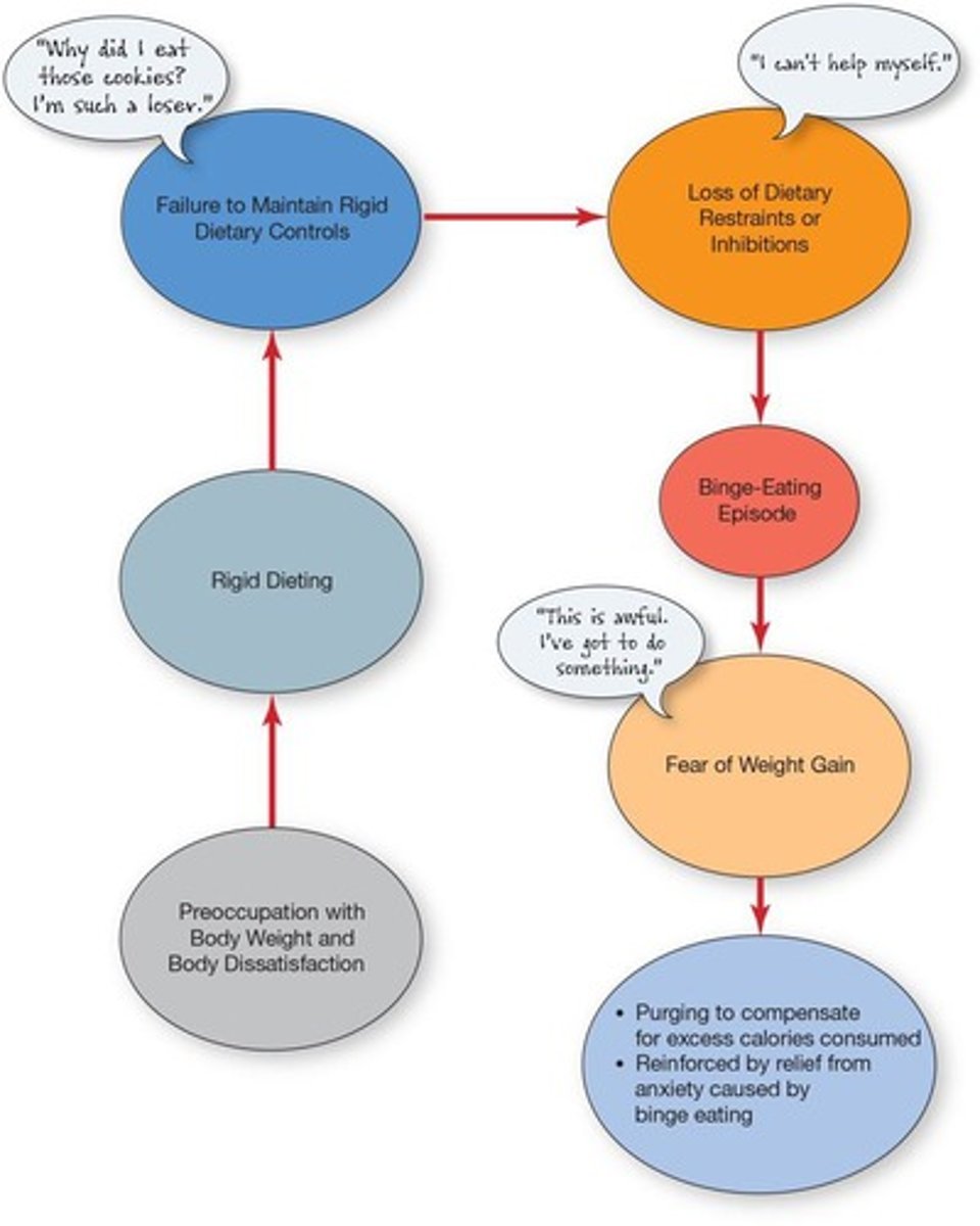 <p>Recurrent binge eating without compensatory purging.</p>