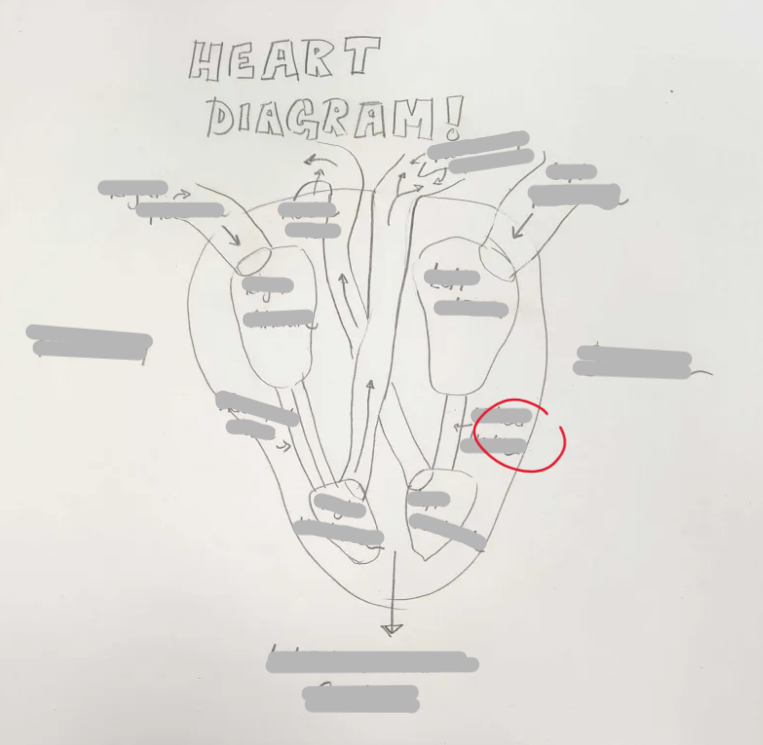 <p>What Structure is this? </p>