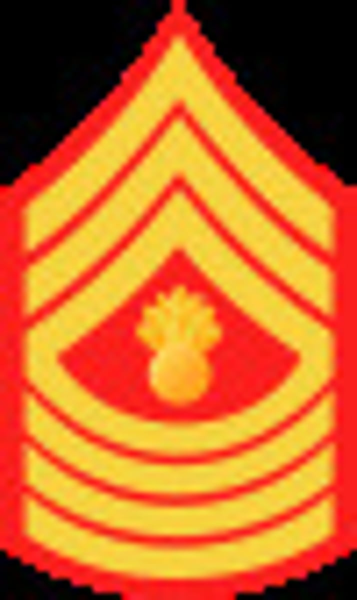 <p>E-9 (USMC)</p>