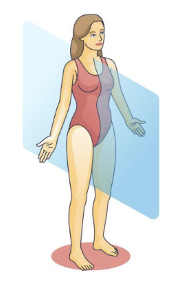 <p>What is this?</p>