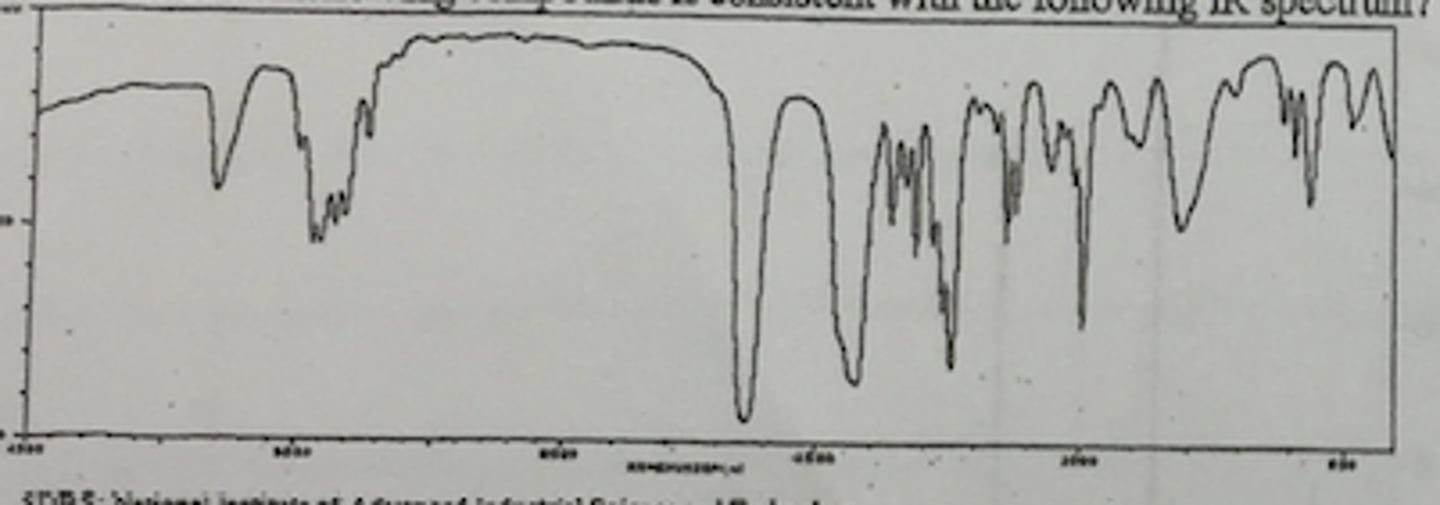 <p>1680</p><p>Stong</p>