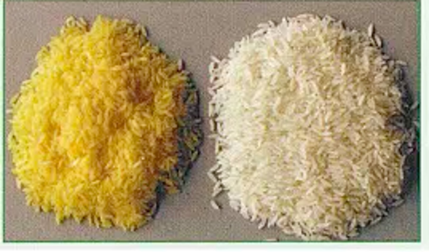 <p>increading value through production process (eg GMOS etc)</p>