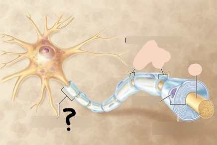 <p>What is this?</p>