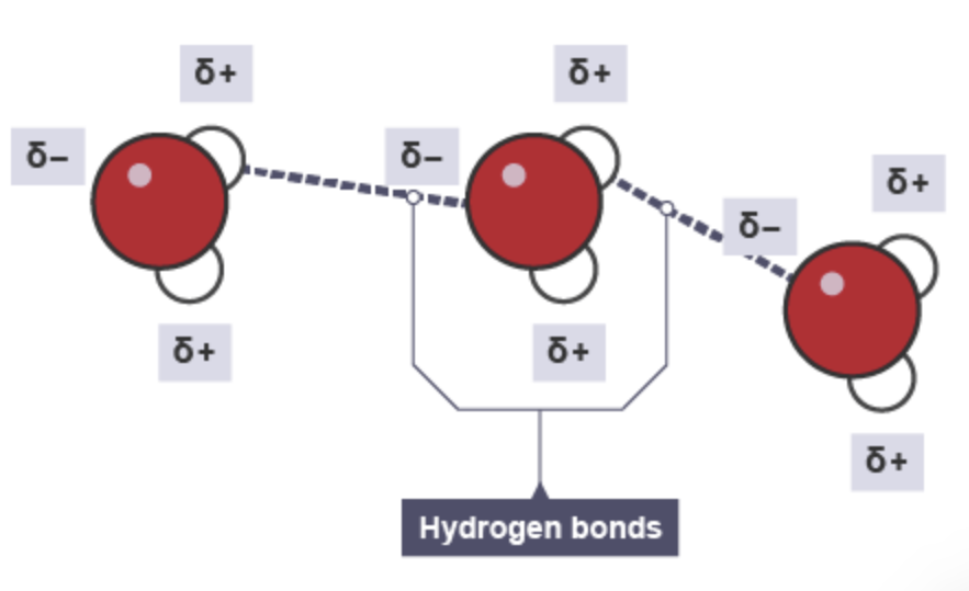 <p><span>It is a specific type of permanent dipole to permanent dipole attraction that occurs when a hydrogen atom is covalently bonded to a highly electronegative element such as nitrogen, oxygen or fluorine. (NOF) and the same as permanent dipole-permanent dipole interactions, the oppositely charged ends of molecules attract. </span></p>