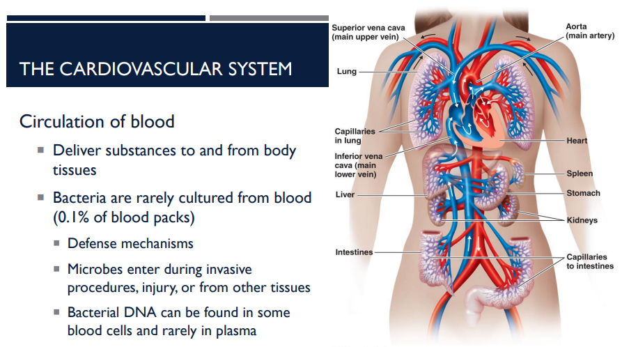 <p>Blood delivers substances to and from ______ ____.</p>