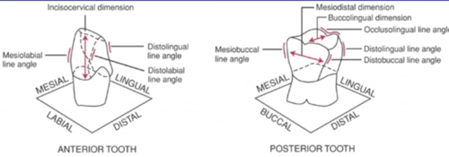 <p>Where 2 surfaces meet</p>