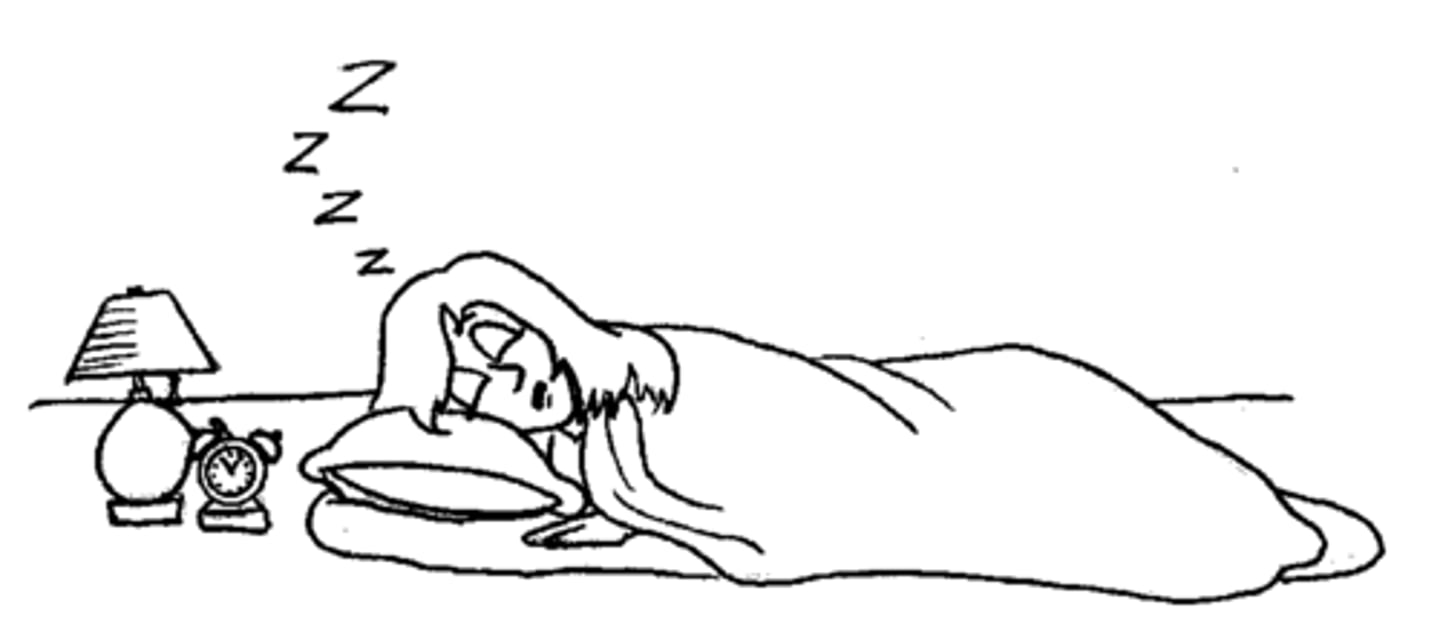 <p>to sleep</p>