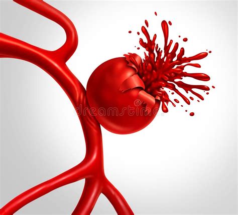 <p>herni (root)</p>