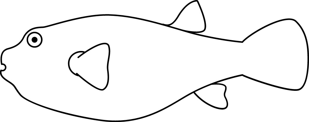 <p>Globular body<br>Size: 25 cm</p>