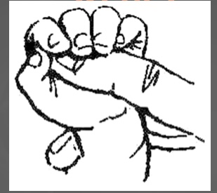 <p>This is an example of what reflex…</p>
